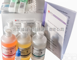 HTEPS001  Mouse embryo sections (15-19 days)