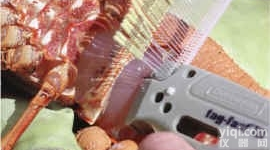 <em>鱼类</em>标签  <em>鱼类</em>标签、T型<em>鱼类</em>体外标签