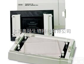 785型  <em>美国</em>伯乐Trans-Blot SD 半干<em>转印</em>槽货号<em>1703940</em>