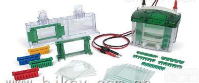 1658001<em>伯乐</em>  1658001<em>电泳槽</em>