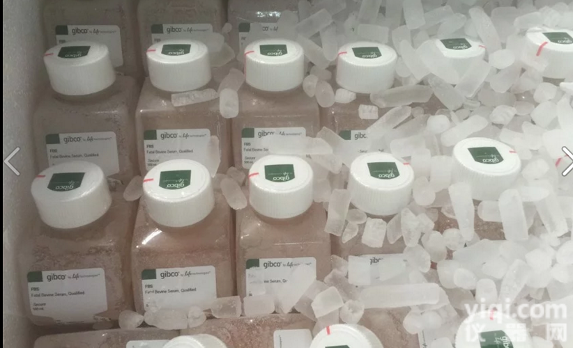 <em>GIBCO</em>活性炭处理胎牛<em>血清</em>|低<em>价格</em>12676-029