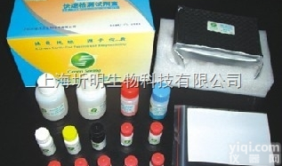 人<em>斑疹</em>伤寒<em>立克次体</em>IgG（E-typhus IgG）ELISA<em>试剂盒</em>