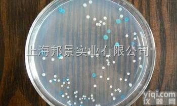 琼<em>脂粉</em>（<em>组培</em>专用）科研