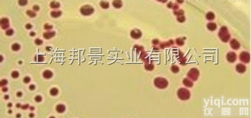 <em>果糖</em>（<em>脑膜炎</em><em>奈瑟</em>氏菌专用）价格