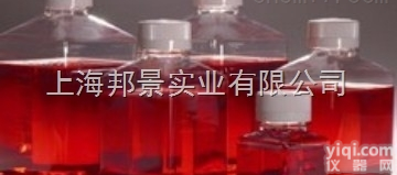 琼<em>脂粉</em><em>说明书</em>