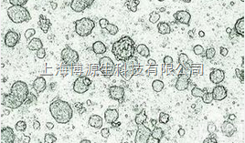 <em>细胞</em>培养<em>耗材</em>  上海博源生<em>细胞</em>培养<em>耗材</em>