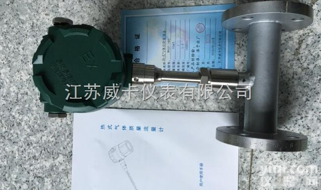 <em>热式气体质量流量表</em>