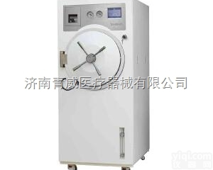 脉动<em>灭菌器</em>  品Pai<em>新华</em>脉动真空<em>灭菌器</em>