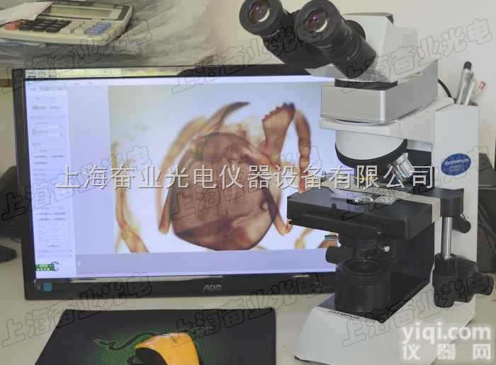 奥林巴斯CX31双目生物显微镜 配300万像素嵌入式<em>CCD</em><em>摄像机</em>