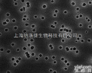 德国Lipoid GMBH <em>磷脂</em><em>氢化</em>大豆<em>磷脂</em>酰<em>胆碱</em>