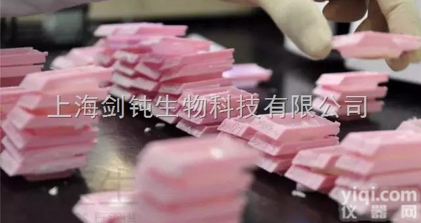 JRD0045  <em>形态学</em>石蜡切片<em>技术服务</em>