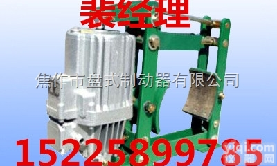 制动器  <em>YWZ4B-100/E23电力液压鼓式制动器</em>