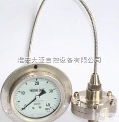 带毛细管<em>远传</em><em>隔膜</em><em>压力表</em>