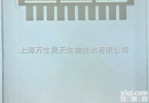 GSH2001-12T  蛋白电泳<em>预制</em>胶 12%（hepes） EZBiolab