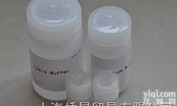 SDS-PAGE<em>蛋白电泳套装</em>现货供应