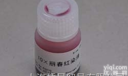 10×丽<em>春红</em><em>染液</em>