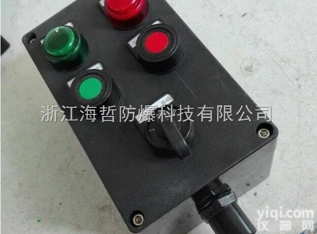 BZC8050-A2D2K1  2灯2钮1<em>转换开关</em><em>防爆</em><em>防腐</em>操作柱