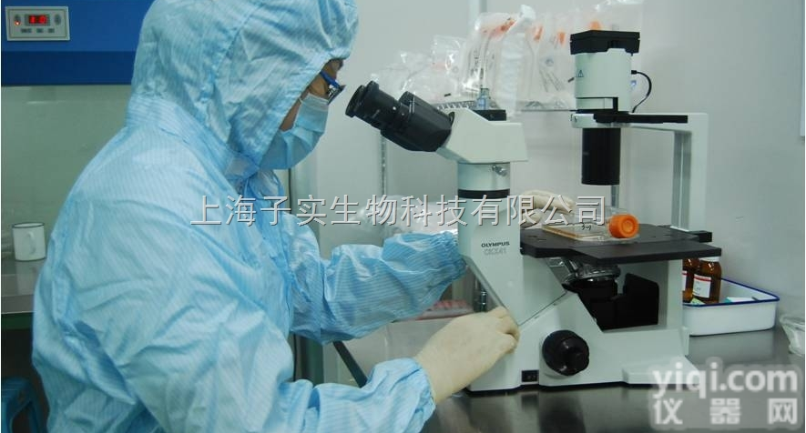 <em>MCF-12A</em>细胞