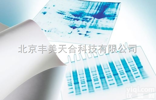 Millipore密理博PVDF膜<em>IPVH00010</em><em>转印</em>膜