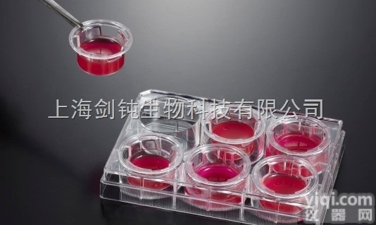 JRD956  <em>细胞</em><em>划痕</em><em>技术服务</em>