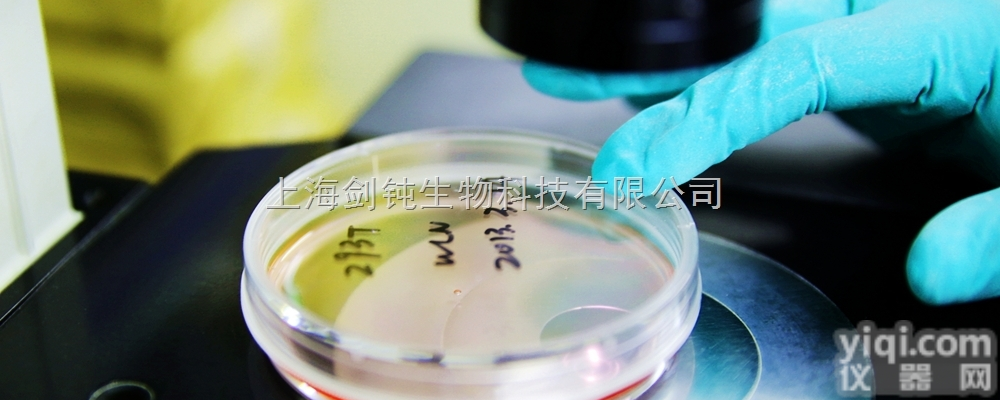 原位<em>杂交</em>病理<em>实验</em>外包