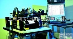 科研<em>课题</em>细胞实验<em>外包</em>