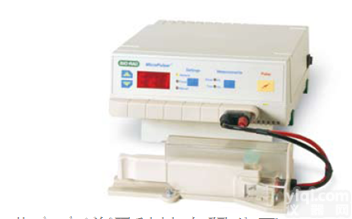 <em>MicroPulser</em> Electrop  <em>伯乐</em><em>MicroPulser</em><em>电穿孔仪</em> 1652100格促销