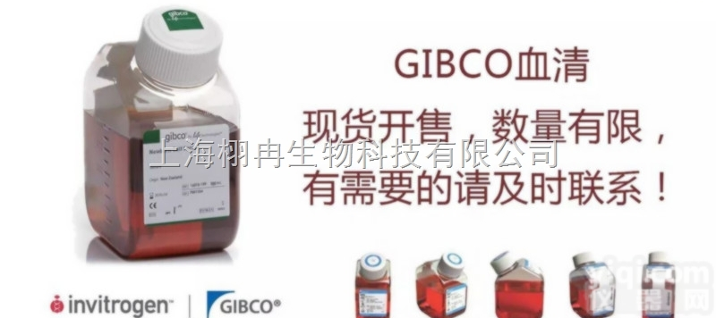 养干细胞的<em>血清</em>GIBCO<em>10099</em>-<em>141</em>胎牛<em>血清</em>