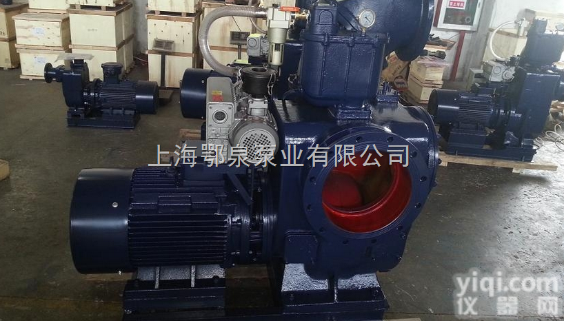 ZSL  大流量<em>直联式</em>双吸<em>自吸泵</em>