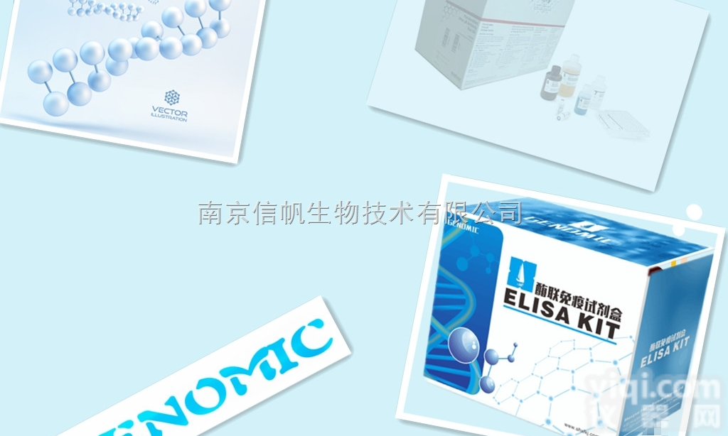 <em>小鼠</em>BCL-2同源<em>拮抗剂</em>1（BAK1）elisa<em>试剂盒</em>