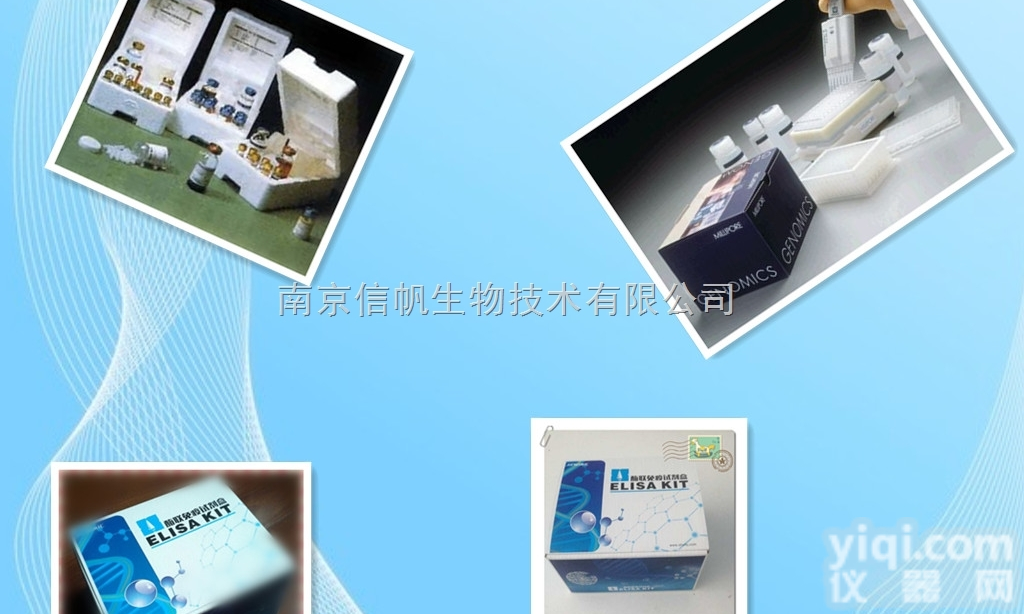 人<em>失调症</em><em>蛋白</em>1（ATXN1）elisa<em>试剂盒</em>