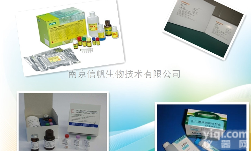 人<em>剪切</em>修复交叉<em>互补</em>基因1（ERCC1）elisa<em>试剂盒</em>