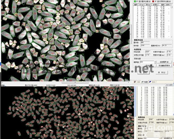 <em>大米</em>外观<em>品质</em>检测系统提升<em>大米</em><em>品质</em>