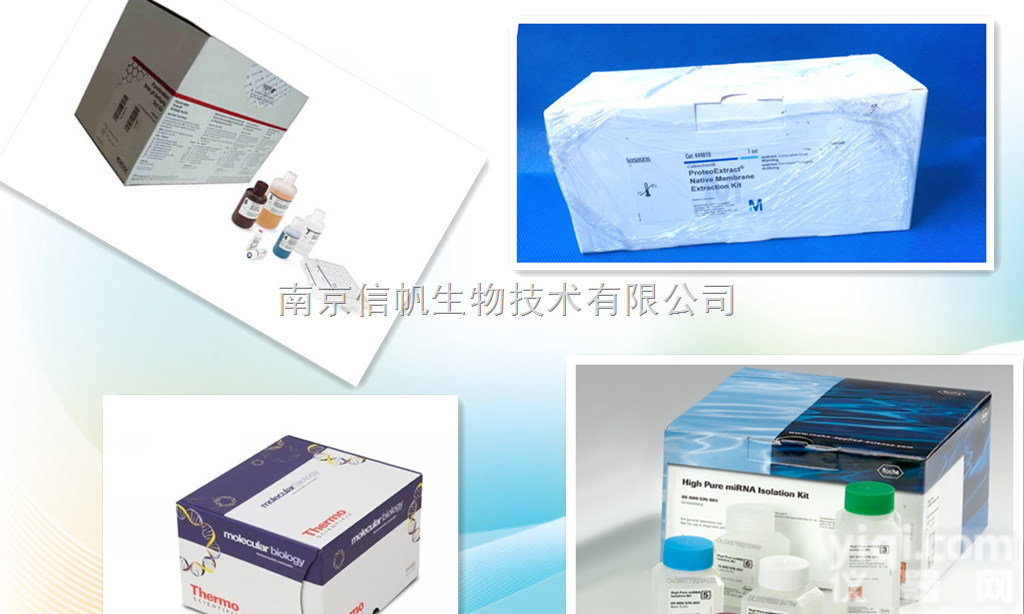 人心肌营养素<em>合成酶</em>/心<em>磷脂</em>合酶（CLS）elisa<em>试剂盒</em>