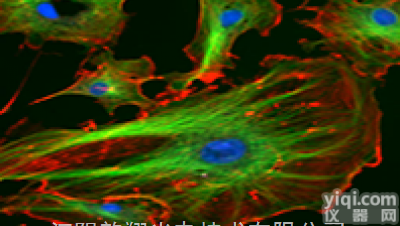 <em>荧光滤光片组</em>