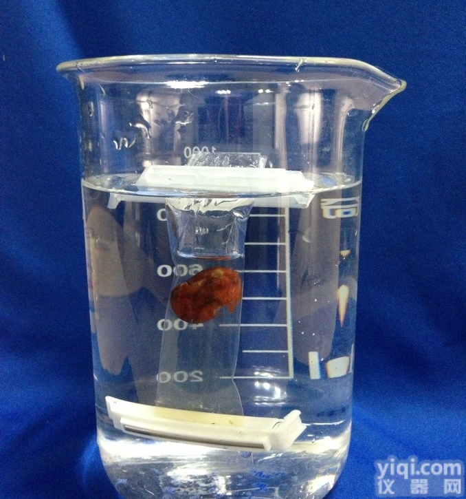 美国<em>光谱</em>医学<em>透析</em>袋/<em>透析</em>膜MD12（50000）现货