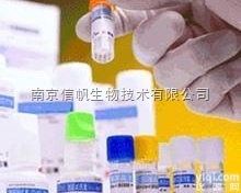 N-（三甲基<em>硅烷</em>基）乙酰胺<em>现货供应</em>