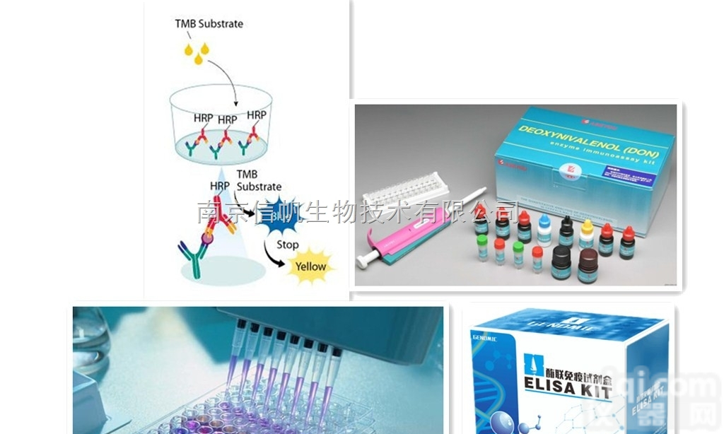 <em>小鼠</em>G<em>蛋白</em>信号调节<em>蛋白</em>4（RGS4）elisa<em>试剂盒</em>