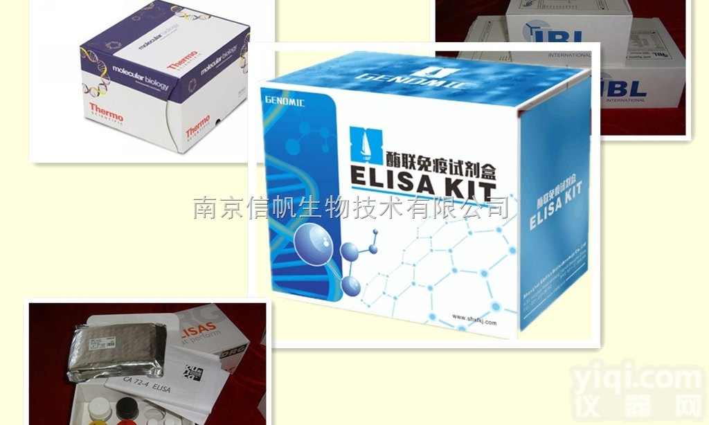 <em>小鼠</em><em>谷氨酸</em><em>半胱氨酸</em>连接酶修饰亚基（GCLM）elisa试剂盒