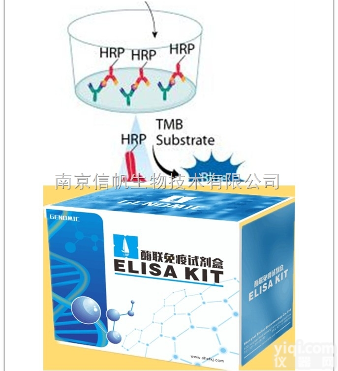 <em>小鼠</em><em>髓鞘</em>少突胶质细胞糖蛋白（<em>MOG</em>）elisa试剂盒