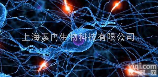 <em>细胞</em>株  RAMOS<em>细胞</em>，RAMOS<em>细胞</em>供应