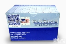 <em>Mouse</em> anti-Scl70 <em>Ig's</em> （<em>total</em> （A+G+M...