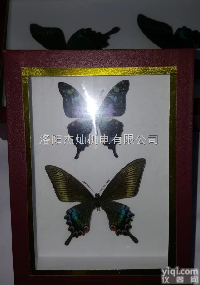 270*180*25  河南<em>农林</em>业专用<em>标本</em>盒常用尺寸、<em>标本</em>盒详情、【价格】