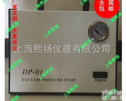 DP-01 <em> 手提式无油真空泵</em>
