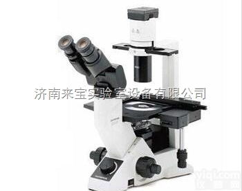 CKX41  <em>奥林巴斯</em><em>显微镜</em>CKX41