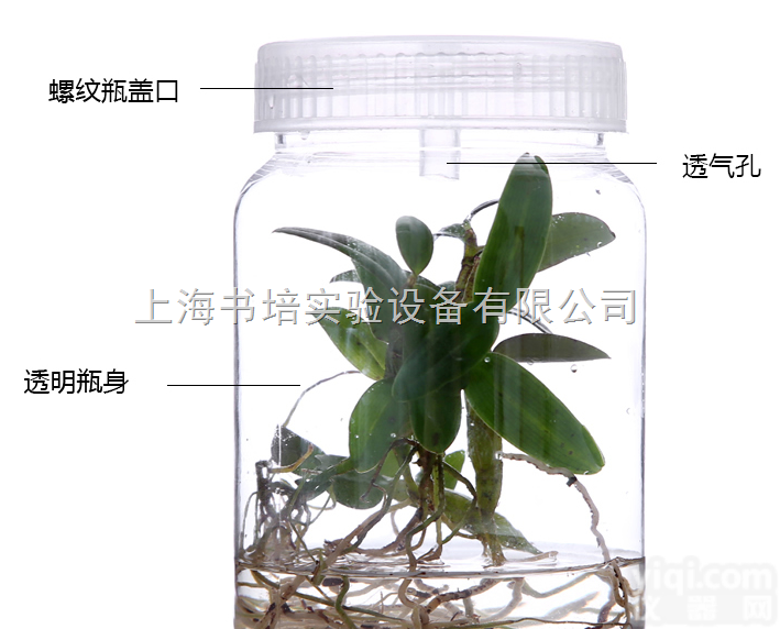 塑料<em>组培</em>瓶 耐高温<em>组培</em>瓶 <em>育苗</em>瓶 PC塑料<em>组培</em>瓶