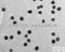 甲基修饰<em>金纳</em>米粒子  甲基修饰<em>金纳</em>米粒子Methylated Gold Nanopartic...