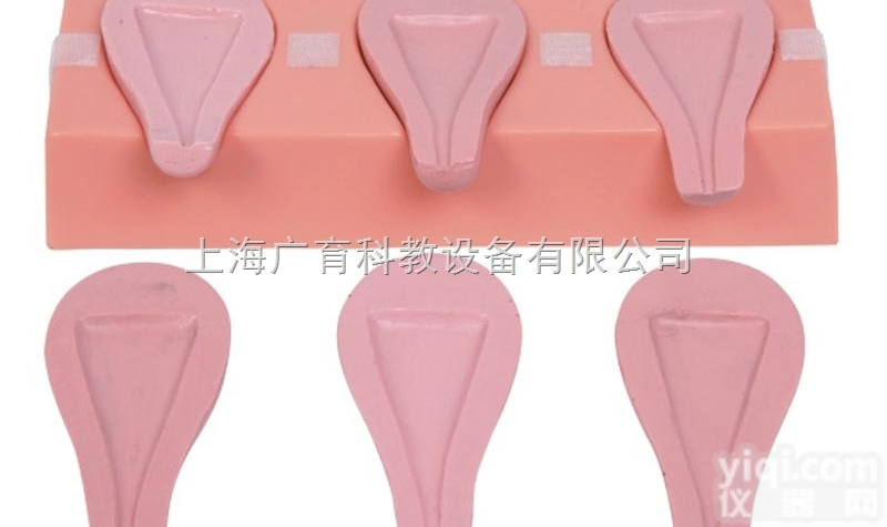 ZKD/T33A  高级<em>人工流产</em>模拟<em>子宫</em>