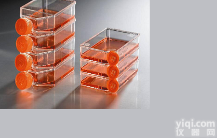 人胚肾<em>细胞</em>系;<em>293A</em><em>细胞</em>品Pai