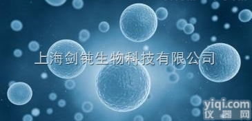 JRD877  <em>磁珠分选</em>细胞实验